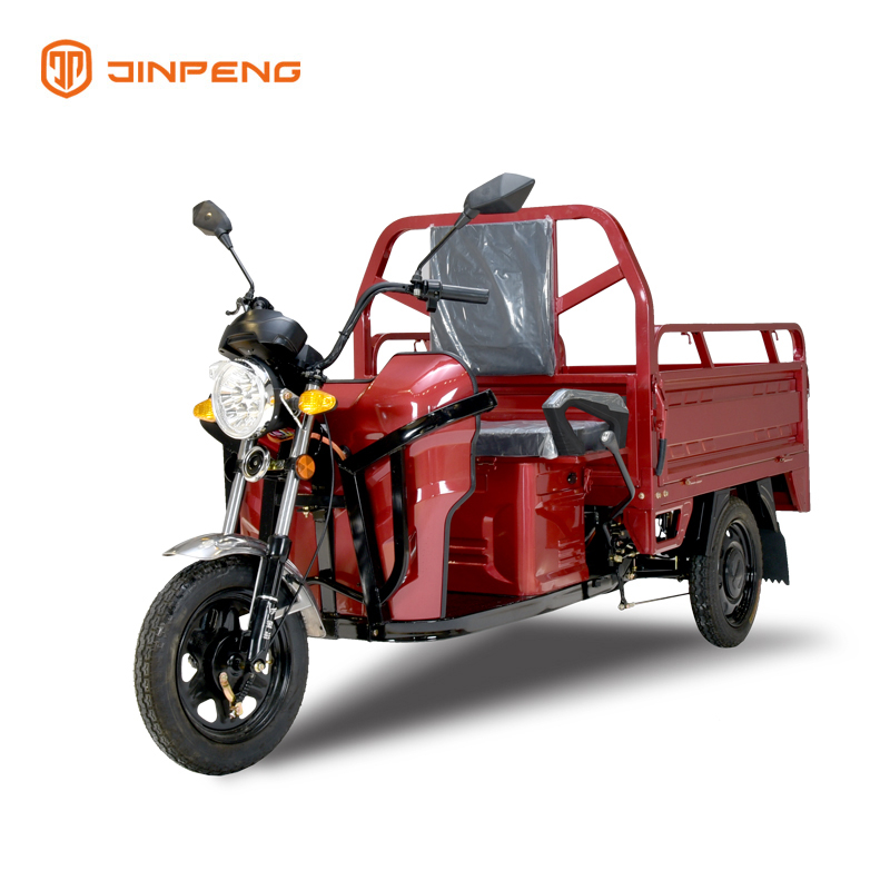 Tricycle électrique pour passagers mini cargo-TL130