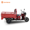 Tricycle électrique pour passagers mini cargo-TL130
