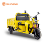 Tricycle cargo électrique à usage cargo-DLS150A 