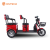 Tricycle de loisirs électrique 2 passagers-A9PRO