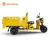 Tricycle cargo électrique à usage cargo-DLS150A 