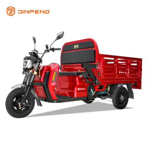 Tricycle électrique à grande charge CEE 2000W-DLS150PRO