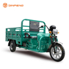 Tricycle électrique cargo de grande taille avec batterie en option-JBII180
