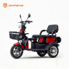 Tricycle de loisirs électrique 2 places pour personnes âgées-EC-A6 