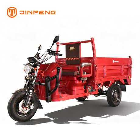 Tricycle cargo électrique avec décharge hydraulique E-JB150Z